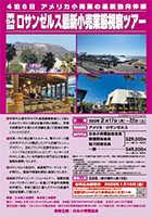 サムネール:パンフレット